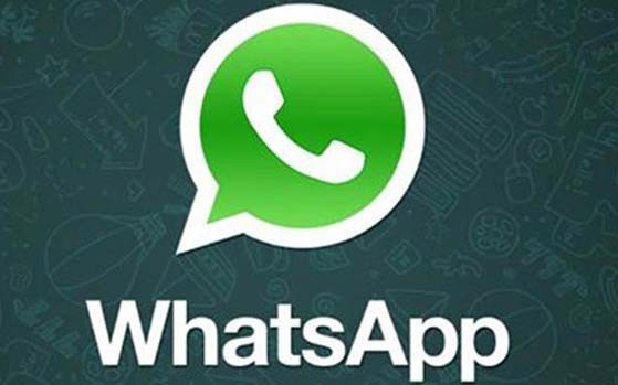 Too many WhatsApp images, videos making your phone slow and full? Here is a fix